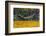 Hammock Looking Inviting in a Leaf Strewn Yard in Whitefish, Montana-Chuck Haney-Framed Photographic Print