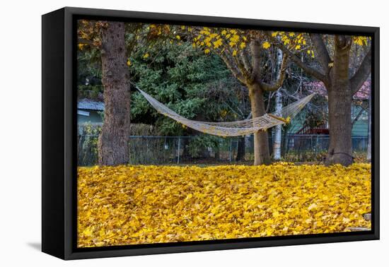 Hammock Looking Inviting in a Leaf Strewn Yard in Whitefish, Montana-Chuck Haney-Framed Premier Image Canvas