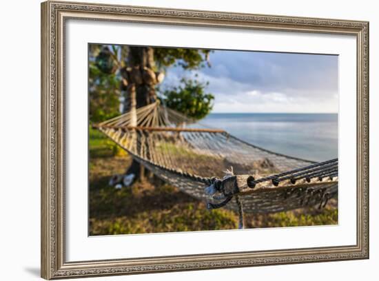 Hammock on a Beach in Ha'Apai Islands, Tonga, South Pacific-Michael Runkel-Framed Photographic Print