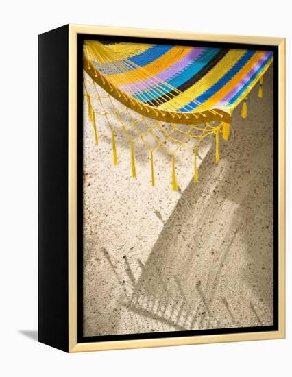 Hammock on Beach, Caye Caulker, Belize-Russell Young-Framed Premier Image Canvas