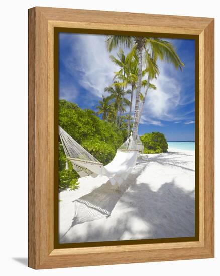 Hammock on Empty Tropical Beach, Maldives, Indian Ocean, Asia-null-Framed Premier Image Canvas