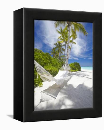 Hammock on Empty Tropical Beach, Maldives, Indian Ocean, Asia-null-Framed Premier Image Canvas