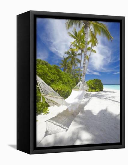 Hammock on Empty Tropical Beach, Maldives, Indian Ocean, Asia-null-Framed Premier Image Canvas