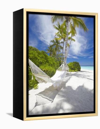 Hammock on Empty Tropical Beach, Maldives, Indian Ocean, Asia-null-Framed Premier Image Canvas