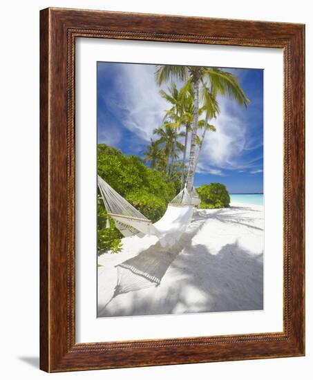 Hammock on Empty Tropical Beach, Maldives, Indian Ocean, Asia-null-Framed Photographic Print