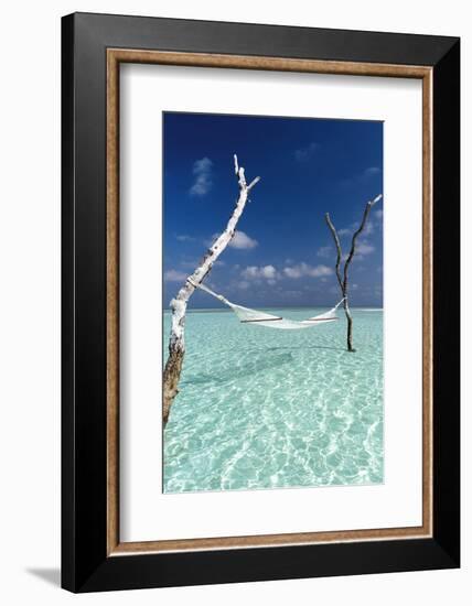 Hammock over the waters of a tropical lagoon, The Maldives, Indian Ocean, Asia-Sakis Papadopoulos-Framed Photographic Print