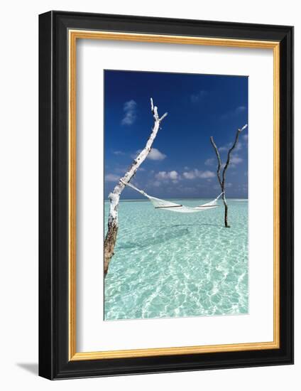 Hammock over the waters of a tropical lagoon, The Maldives, Indian Ocean, Asia-Sakis Papadopoulos-Framed Photographic Print