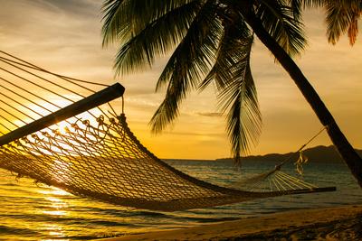 Hammock Silhouette With Palm Trees On A Beautiful Beach At Sunset Photographic Print Martin Valigursky Art Com