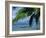 Hammock, Tahiti, Society Islands, French Polynesia, South Pacific Islands, Pacific-Sylvain Grandadam-Framed Photographic Print