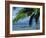 Hammock, Tahiti, Society Islands, French Polynesia, South Pacific Islands, Pacific-Sylvain Grandadam-Framed Photographic Print