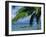 Hammock, Tahiti, Society Islands, French Polynesia, South Pacific Islands, Pacific-Sylvain Grandadam-Framed Photographic Print