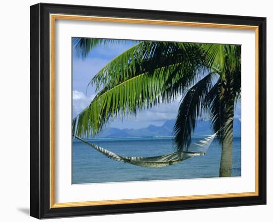 Hammock, Tahiti, Society Islands, French Polynesia, South Pacific Islands, Pacific-Sylvain Grandadam-Framed Photographic Print