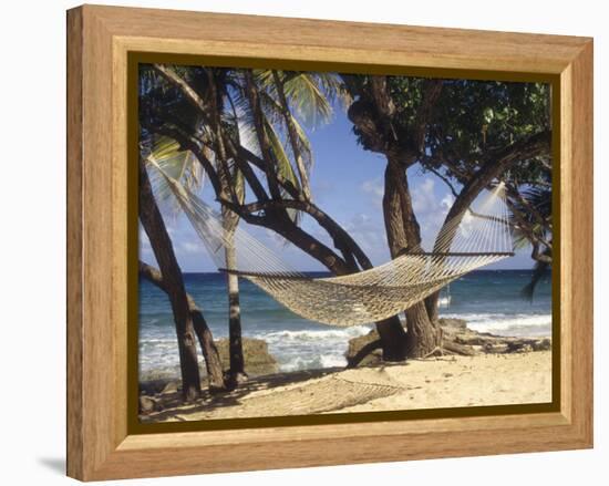 Hammock Tied Between Trees, North Shore Beach, St Croix, US Virgin Islands-Alison Jones-Framed Premier Image Canvas