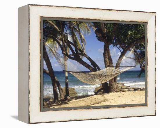 Hammock Tied Between Trees, North Shore Beach, St Croix, US Virgin Islands-Alison Jones-Framed Premier Image Canvas