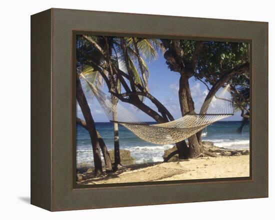 Hammock Tied Between Trees, North Shore Beach, St Croix, US Virgin Islands-Alison Jones-Framed Premier Image Canvas