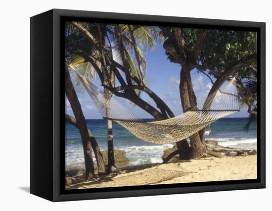 Hammock Tied Between Trees, North Shore Beach, St Croix, US Virgin Islands-Alison Jones-Framed Premier Image Canvas