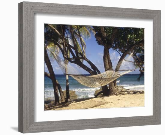 Hammock Tied Between Trees, North Shore Beach, St Croix, US Virgin Islands-Alison Jones-Framed Photographic Print