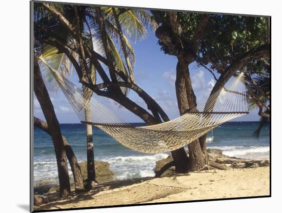 Hammock Tied Between Trees, North Shore Beach, St Croix, US Virgin Islands-Alison Jones-Mounted Photographic Print