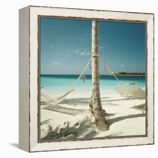 Hammocks Tied to a Palm Tree-null-Framed Premier Image Canvas