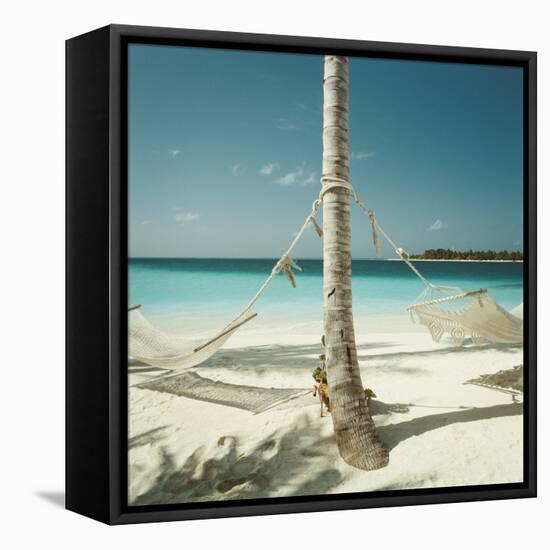 Hammocks Tied to a Palm Tree-null-Framed Premier Image Canvas