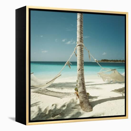 Hammocks Tied to a Palm Tree-null-Framed Premier Image Canvas