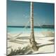 Premium Photographic Print