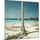 Premium Photographic Print