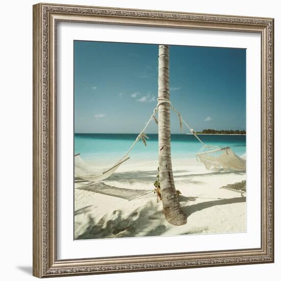 Hammocks Tied to a Palm Tree-null-Framed Photographic Print