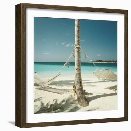 Hammocks Tied to a Palm Tree-null-Framed Photographic Print