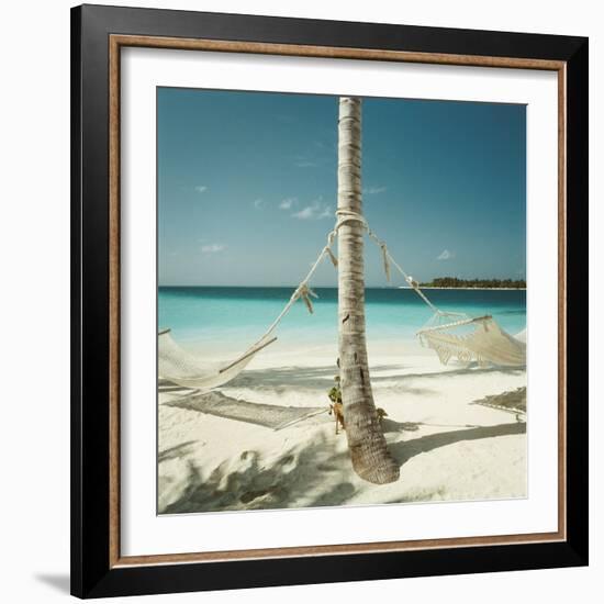 Hammocks Tied to a Palm Tree-null-Framed Photographic Print