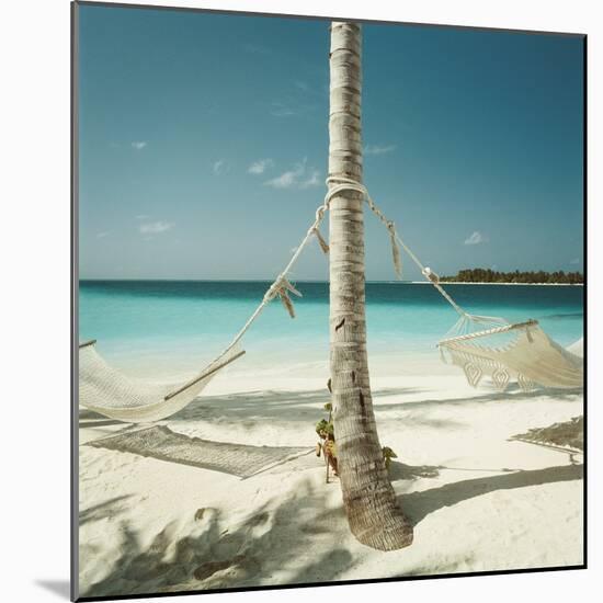 Hammocks Tied to a Palm Tree-null-Mounted Photographic Print