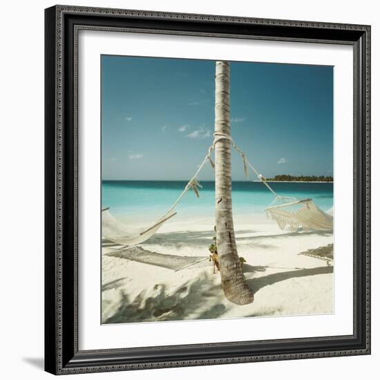 Hammocks Tied to a Palm Tree-null-Framed Photographic Print