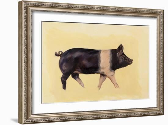Hampshire pig, 2016-Francesca Sanders-Framed Giclee Print