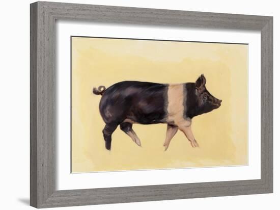 Hampshire pig, 2016-Francesca Sanders-Framed Giclee Print