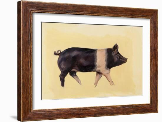 Hampshire pig, 2016-Francesca Sanders-Framed Giclee Print