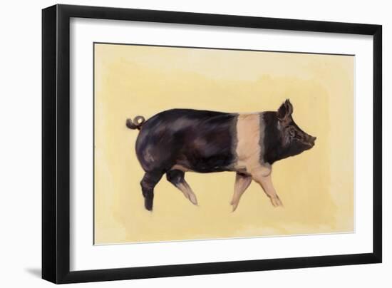 Hampshire pig, 2016-Francesca Sanders-Framed Giclee Print