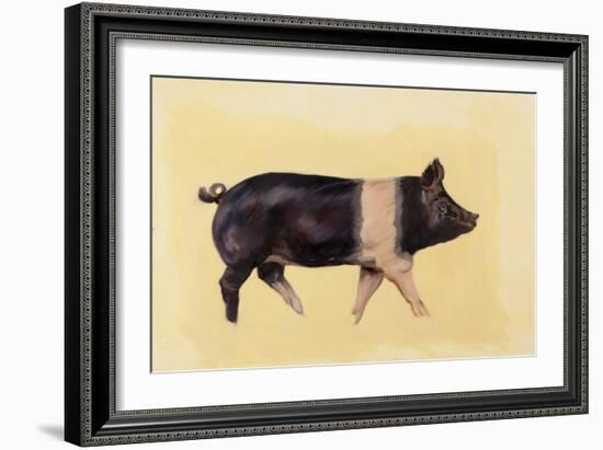 Hampshire pig, 2016-Francesca Sanders-Framed Giclee Print