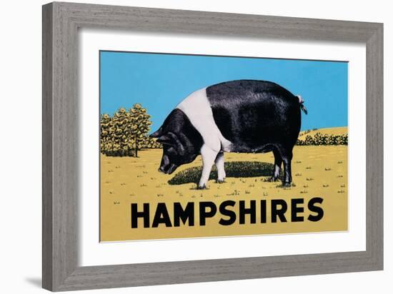 Hampshires-null-Framed Art Print