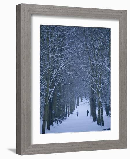 Hampstead Heath in Winter, London, England, United Kingdom, Europe-Ben Pipe-Framed Photographic Print