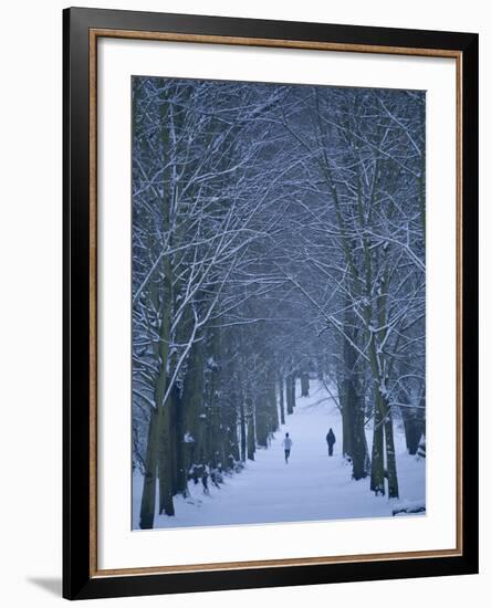 Hampstead Heath in Winter, London, England, United Kingdom, Europe-Ben Pipe-Framed Photographic Print