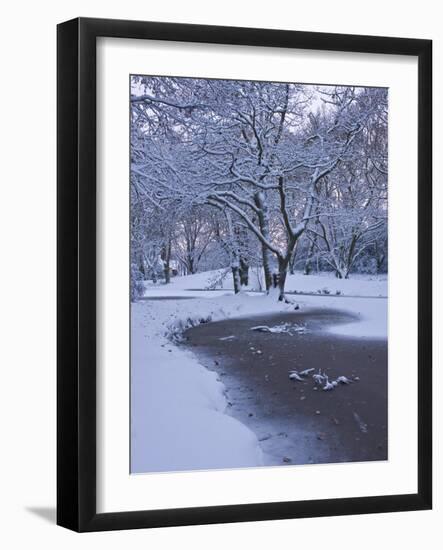 Hampstead Heath in Winter, North London, England, United Kingdom, Europe-Ben Pipe-Framed Photographic Print