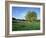 Hampstead Heath, London, England, United Kingdom-Ethel Davies-Framed Photographic Print