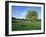 Hampstead Heath, London, England, United Kingdom-Ethel Davies-Framed Photographic Print