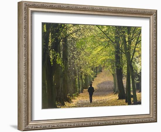 Hampstead Heath, North London, England, United Kingdom, Europe-Ben Pipe-Framed Photographic Print