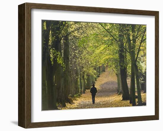 Hampstead Heath, North London, England, United Kingdom, Europe-Ben Pipe-Framed Photographic Print