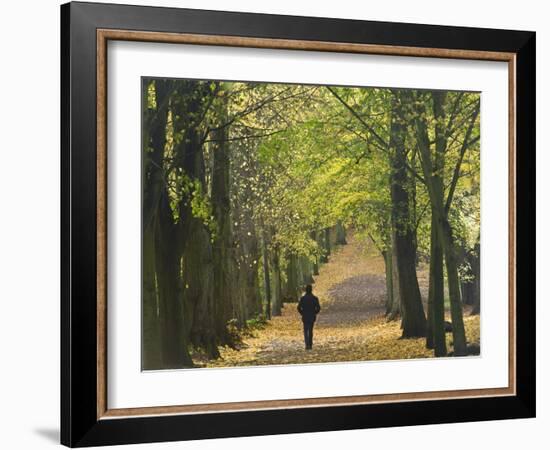 Hampstead Heath, North London, England, United Kingdom, Europe-Ben Pipe-Framed Photographic Print