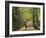 Hampstead Heath, North London, England, United Kingdom, Europe-Ben Pipe-Framed Photographic Print