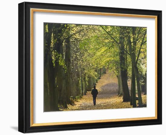 Hampstead Heath, North London, England, United Kingdom, Europe-Ben Pipe-Framed Photographic Print