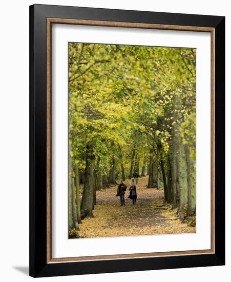 Hampstead Heath, North London, England, United Kingdom, Europe-Ben Pipe-Framed Photographic Print