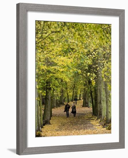 Hampstead Heath, North London, England, United Kingdom, Europe-Ben Pipe-Framed Photographic Print